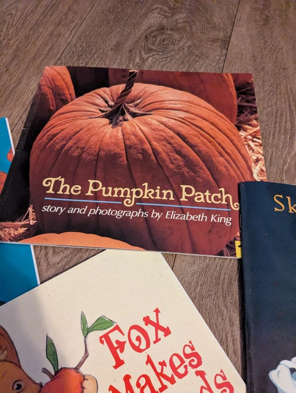 Kids Halloween Library Stories